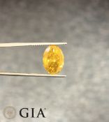 Oval Cut Fancy Yellow 8.08 Carat ( Natural ) Diamond I1 Clarity VG VG GIA 2183902587