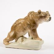 Braunbär, Dubi, Eichwald Tschechien um 1940