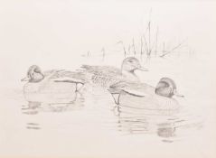 Julian Novorol (b. 1949) Ouse Washes - Winter Floods, Three European Green Winged Teal Swimming