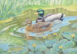 Peter Partington (1941-2025) Mallard First Flight, a Male and Female paddling along Lily Pads