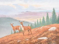 David Parry (b.1942) Red Deer on Arran (2)