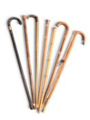A collection of mostly 20th century walking canes/sticks, including (7)