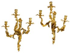 Paar museale Louis XV-Wandleuchter