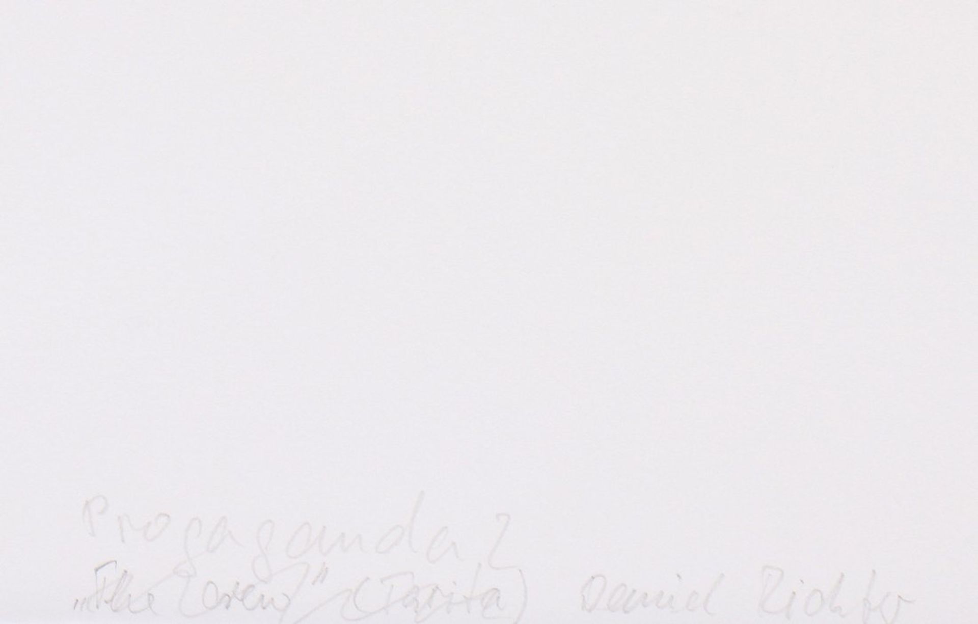 Daniel Richter (1962, Eutin), "Propaganda II" (2001)  - Bild 4 aus 4