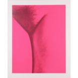 Yehuda Neiman (1931, Warschau - 2011, Paris), o.T. 