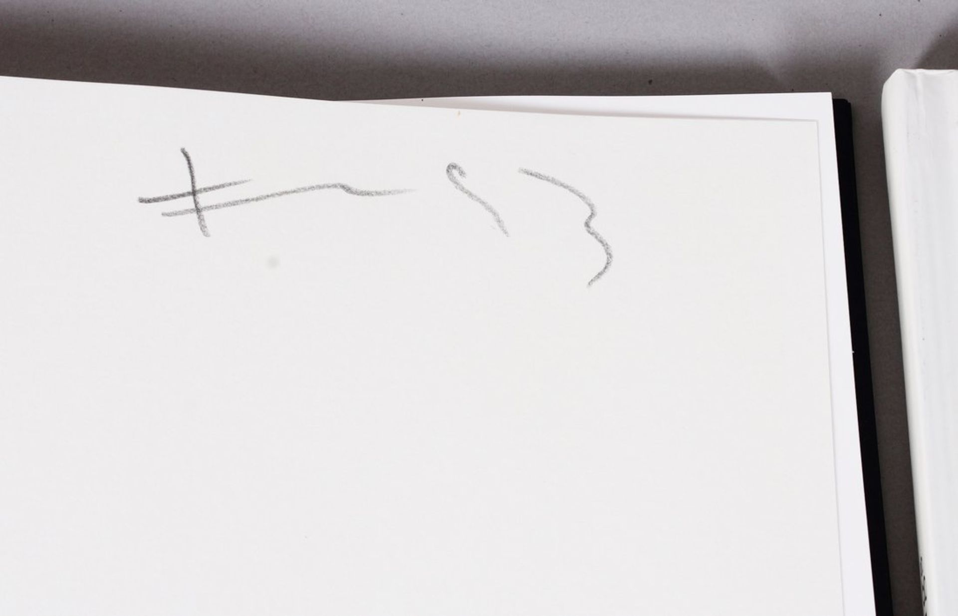 Fünf Bücher, Klaus Fußmann  - Bild 3 aus 5