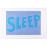 Carl Ostendarp (1961, Amherst, MA, USA), "SLEEP" 