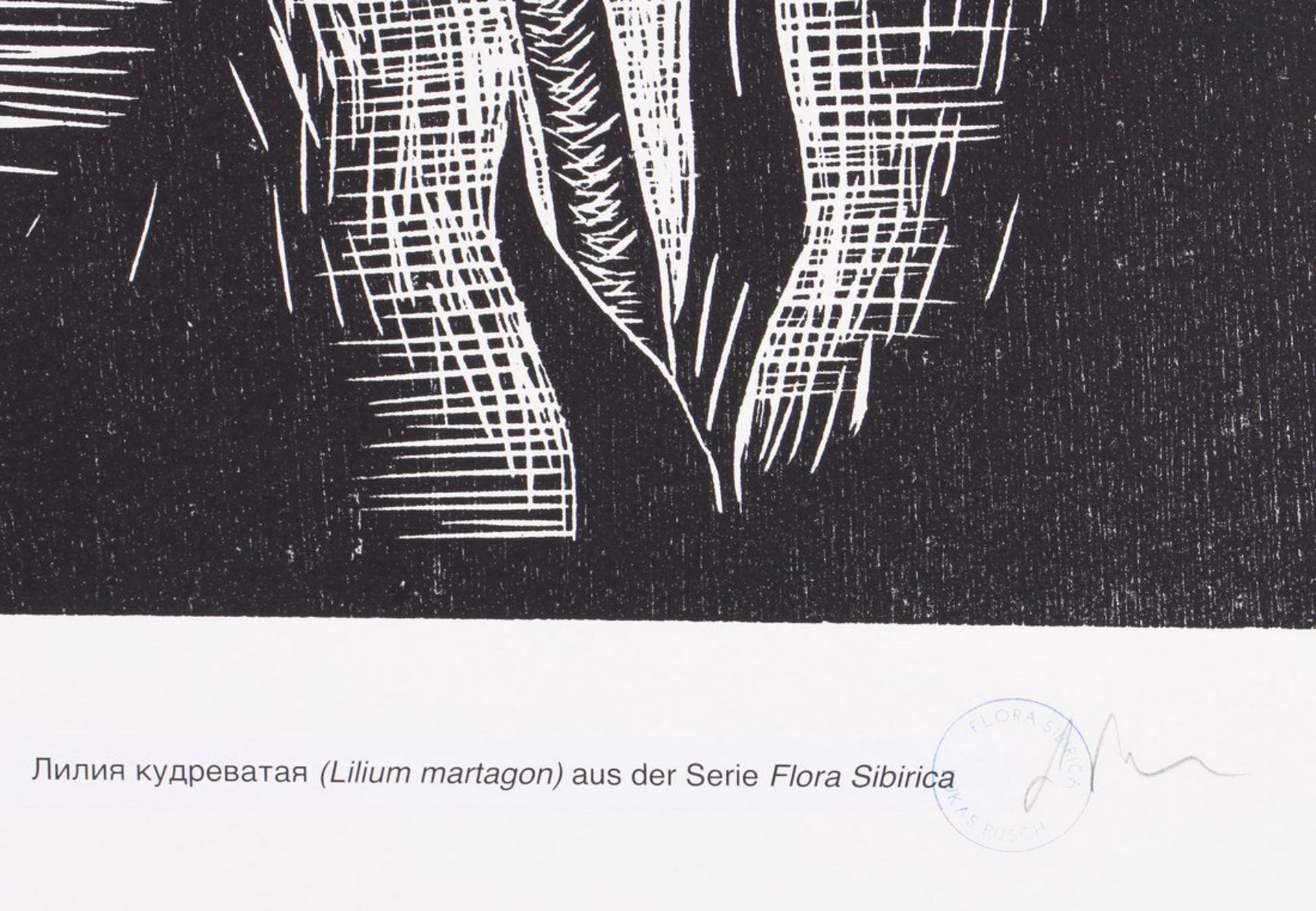 Lukas Pusch (geb. 1970, Wien)  - Bild 2 aus 2