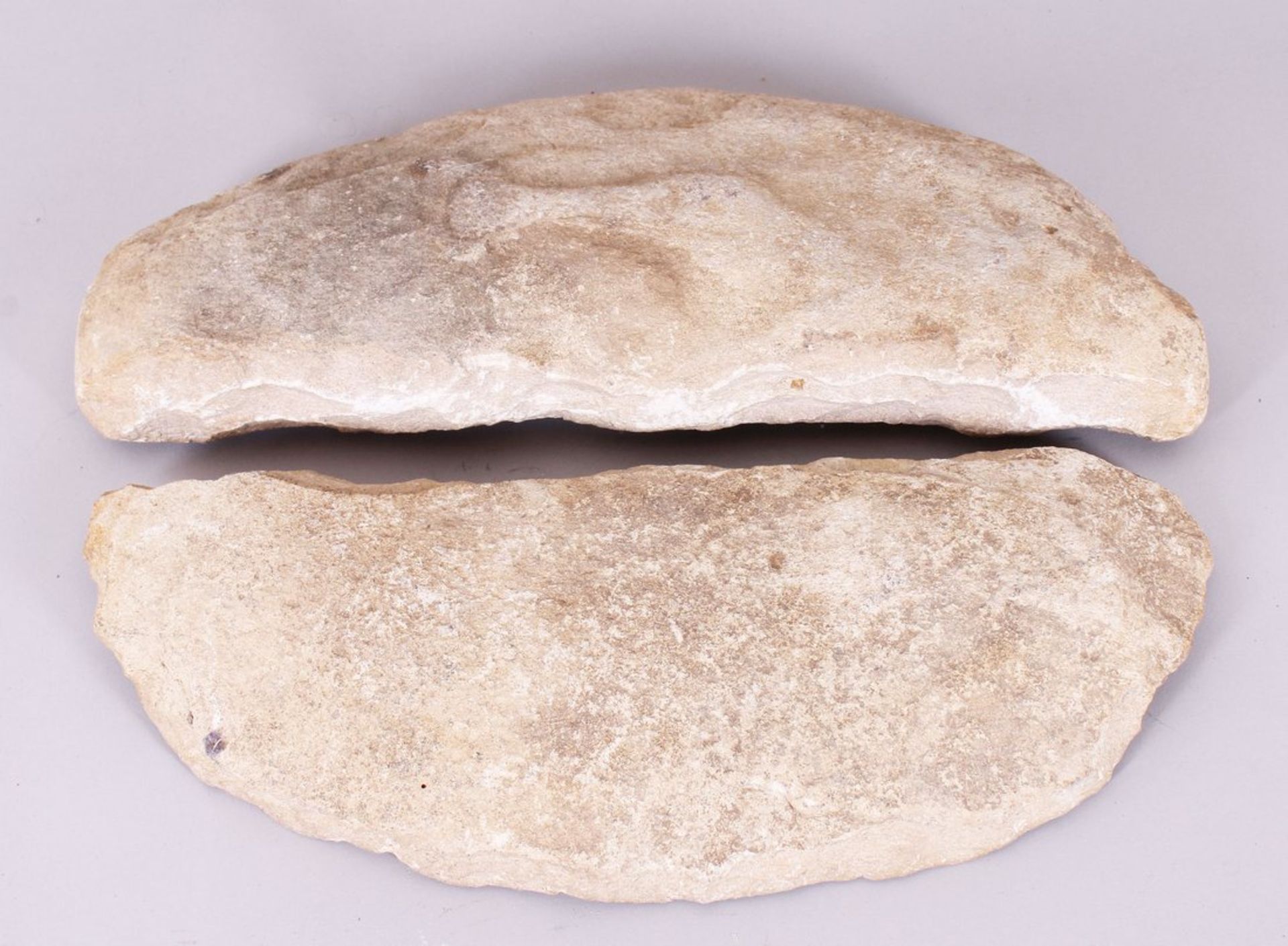 Fischfossil, wohl Solnhofen, Paläozoikum, Sandstein, 2-tlg.  - Bild 4 aus 4