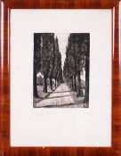 "Unter hohen Bäumen" (Allee mit Bäumen), 1.H.20. Jhd. 