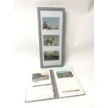 A HORSE RACING INTEREST POSTCARD ALBUM, UK & WORLDWIDE EXAMPLES. to include Royal Procession to