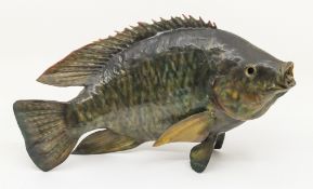 Taxidermy tilapia fish, stands alone no case.