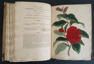 ANDREWS, (Henry). The Botanist's Repository for New and Rare Plants, FIRST EDITION/PRINTING, volumes
