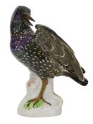 A MEISSEN PAINTED PORCELAIN FIGURE OF A STARLING BIRD, 19TH CENTURY
