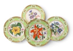 Four Coalport botanical plates, c.1820, finely painted with floral specimens from Curtis's Botanical