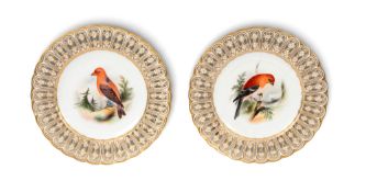 A pair of Minton ornithological plates, 19th century, each painted with a single bird, one 'The Comm