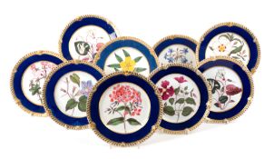 Nine Chamberlain's Worcester botanical plates, c.1830-40, each painted with a floral specimen titled