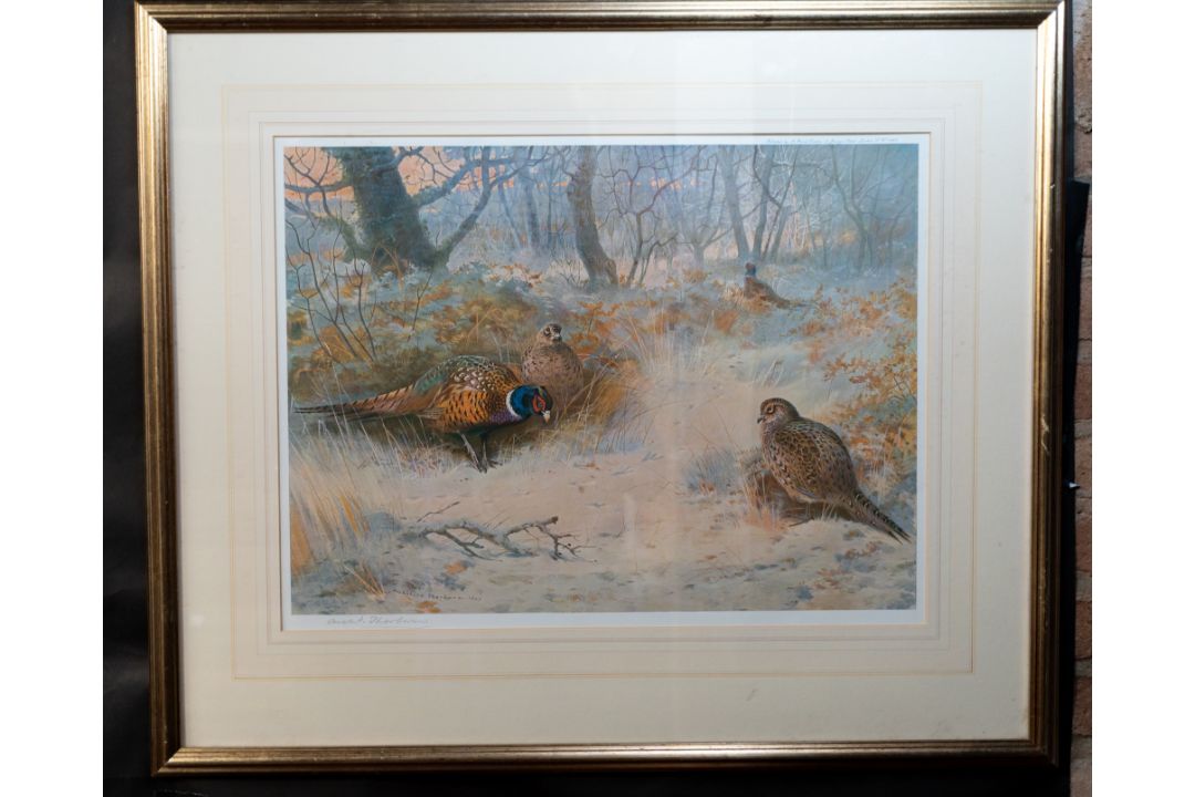 Pictures - Image 6 of 18