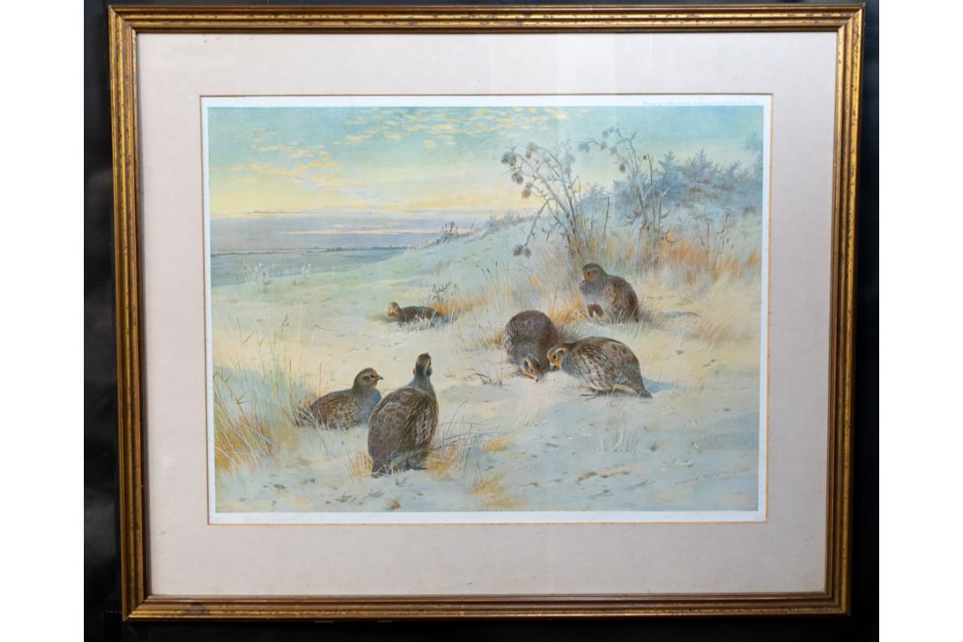 Pictures - Image 15 of 18