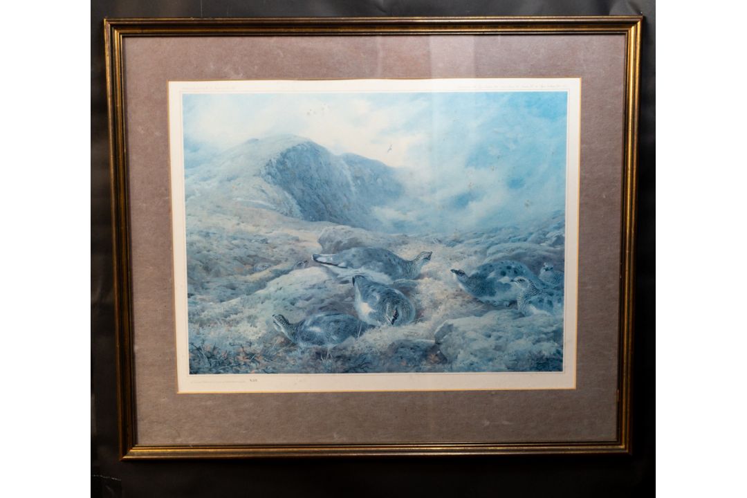 Pictures - Image 10 of 18