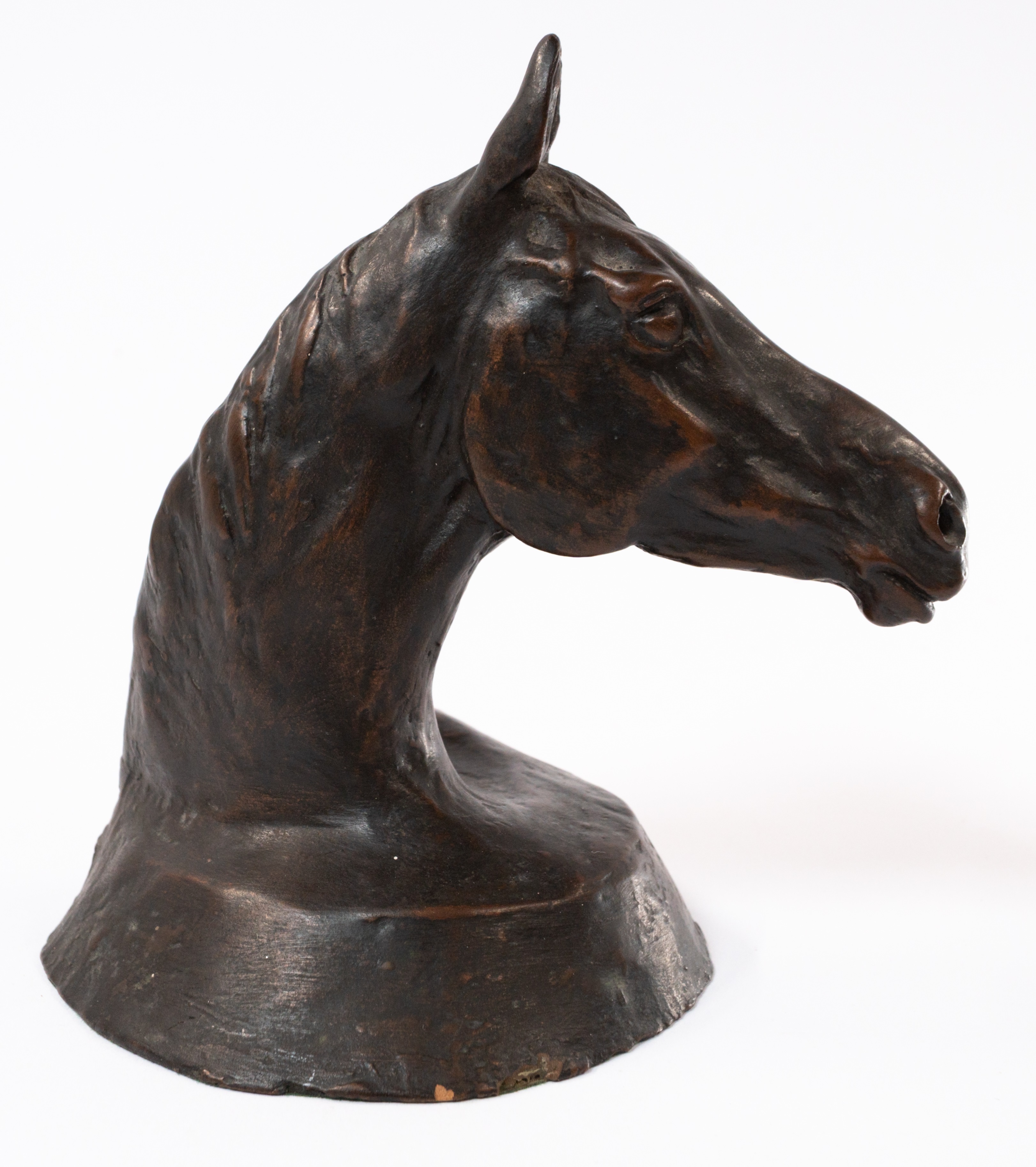 Decorative Arts: a bronzed horse head sculpture by John King, limited edition number 12/15, 14.5cm.
