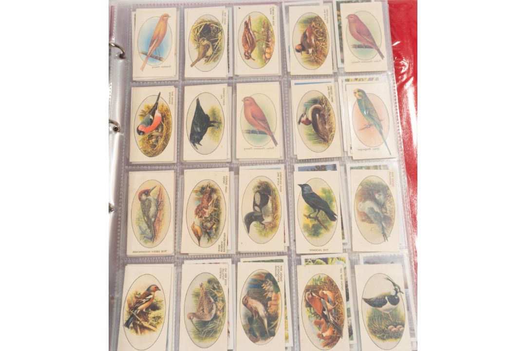 Cigarette, Cigar, & Tea Cards: - Image 3 of 3