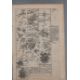 Cartophilia: - Image 10 of 12