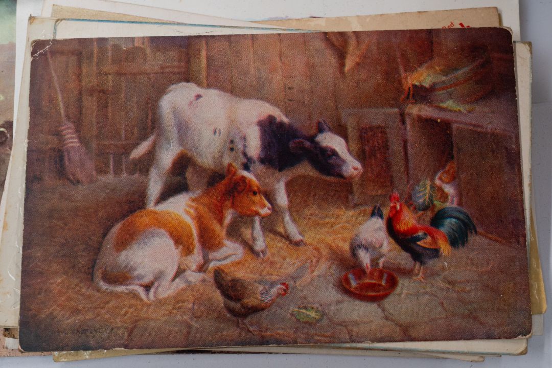 Postcards: - Image 5 of 6