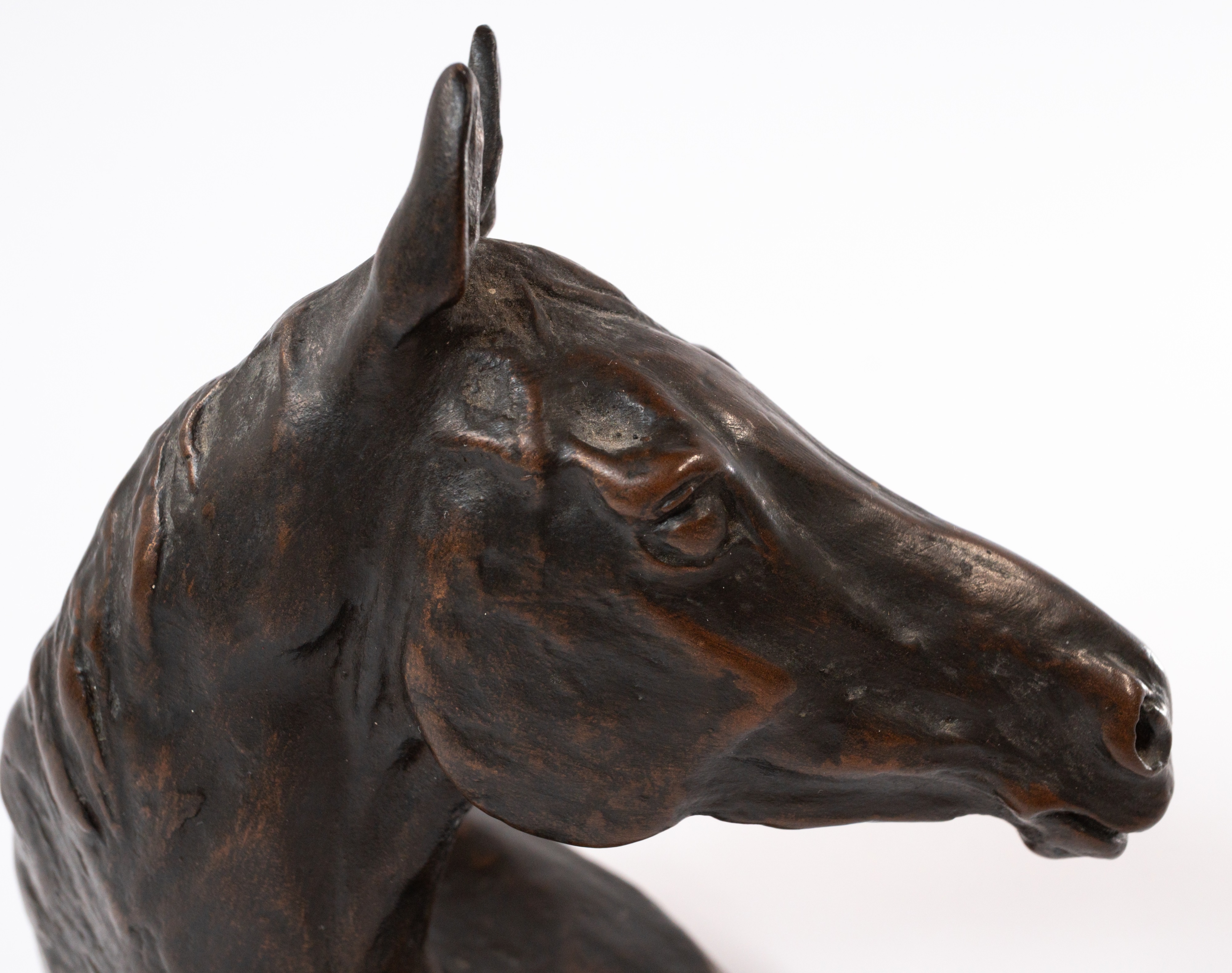 Decorative Arts: a bronzed horse head sculpture by John King, limited edition number 12/15, 14.5cm. - Image 2 of 4