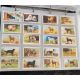 Cigarette, Cigar & Tea Cards: - Image 4 of 10