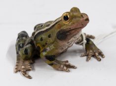 Objects Of Vertu: a cold painted bronze frog, probably Austrian, indistinct marks to the underside, 