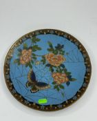 A Japanese cloisonne plate, the naturalistic image depicting a butterfly on a spider web suspended f