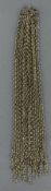 Jewellery: a number of yellow metal chains attached to a central ring, unmarked but testing as 9ct g