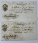 Banknotes: Cardigan Bank, a pair of unused one Guinea Notes in remarkable condition, EF to About UNC