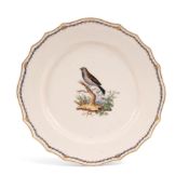 A Tournai ornithological plate, c.1790, painted to the well with a house sparrow perched on a low br