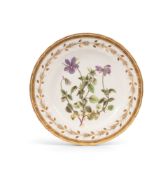 A Derby botanical plate, c.1790-1800, painted in pattern 392 with a spray of Horned Violet (Viola Co