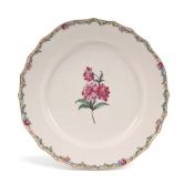 A Tournai botanical plate, c.1763-74, the well finely painted with a single floral specimen, the rim