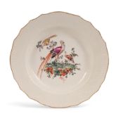 A Tournai plate, c.1763-74, painted with a scene of exotic birds perched beside and on low leafy bra