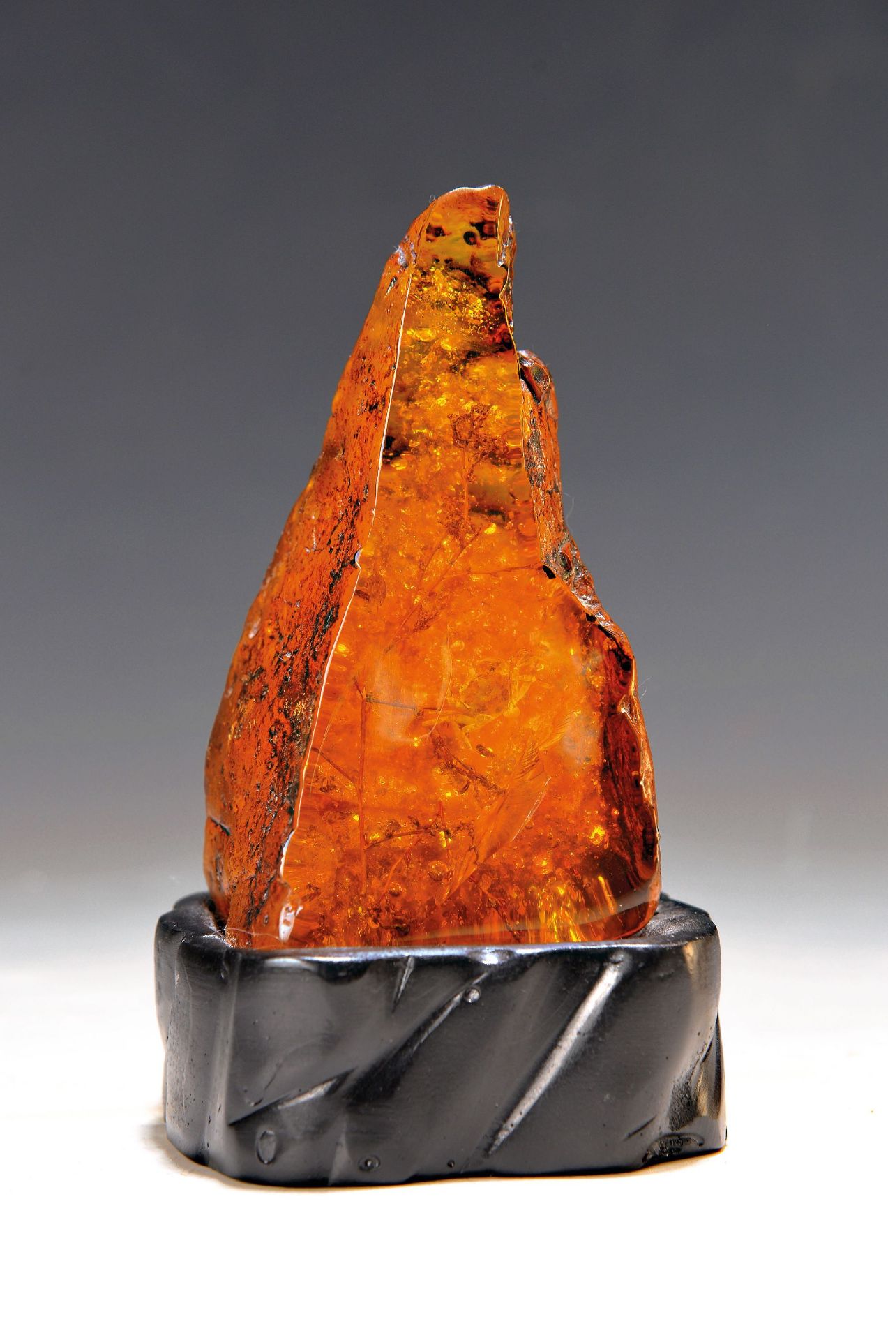 Großer Bernstein mit eingeschlossener Krabbe, Pflanzen und