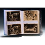Album mit Autographen, Bildpostkarten und offiziellen