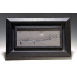 Tierfossil - Saurichtyiformes und Lashan Fisch, China,