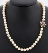Perl-Collier mit 18 kt Gold Brillant-Rubin -Schließe, WG