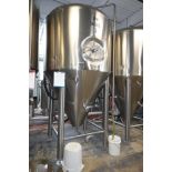30 BBL SS Fermenter Tank