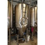 10 BBL SS Fermenter Tank