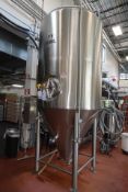 30 BBL SS Fermenter Tank