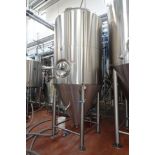 30 BBL SS Fermenter Tank