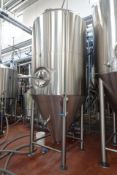30 BBL SS Fermenter Tank