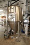 20 BBL SS Fermenter Tank