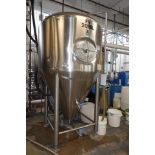 20 BBL SS Fermenter Tank