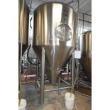 30 BBL SS Fermenter Tank